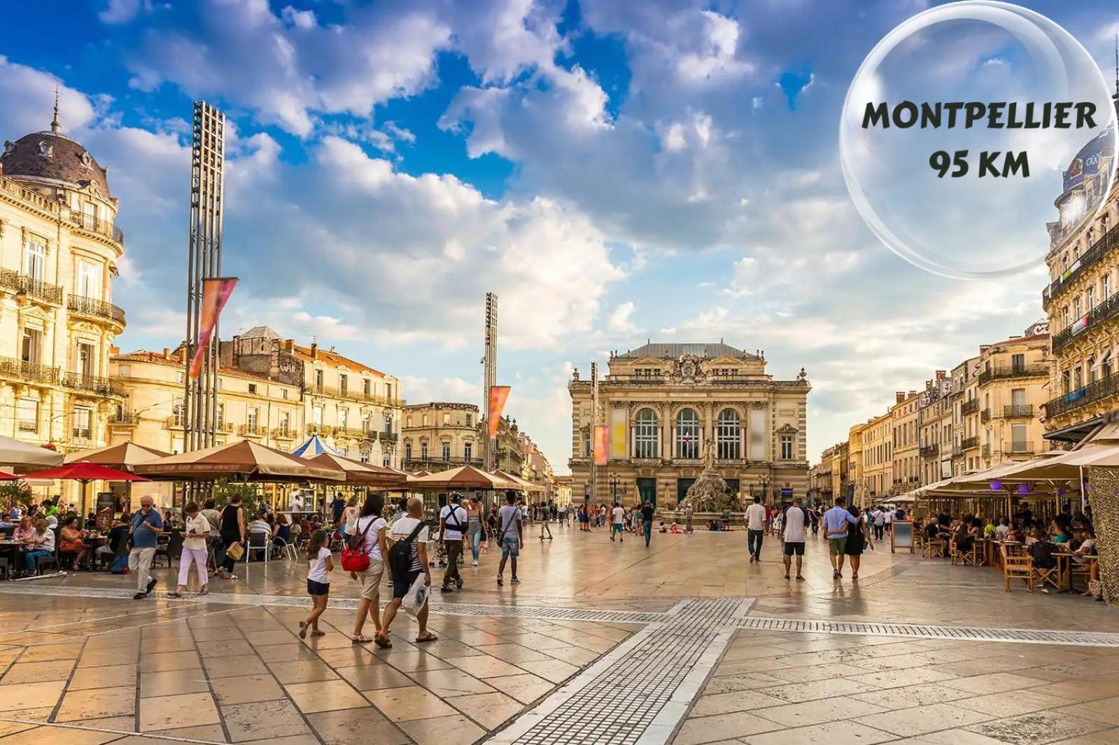 Апартаменты Le Cosy Du Gal, A 2 Pas Du Palais Des Papes Parking Gratuit Securise Авиньон Экстерьер фото