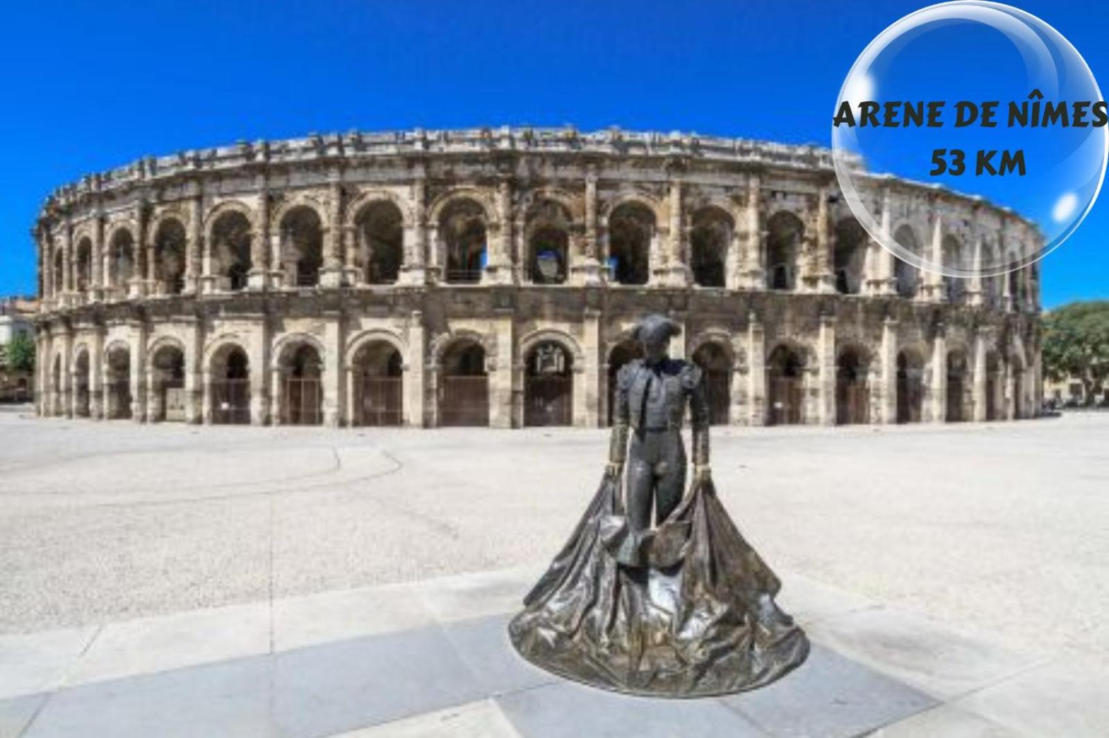 Апартаменты Le Cosy Du Gal, A 2 Pas Du Palais Des Papes Parking Gratuit Securise Авиньон Экстерьер фото