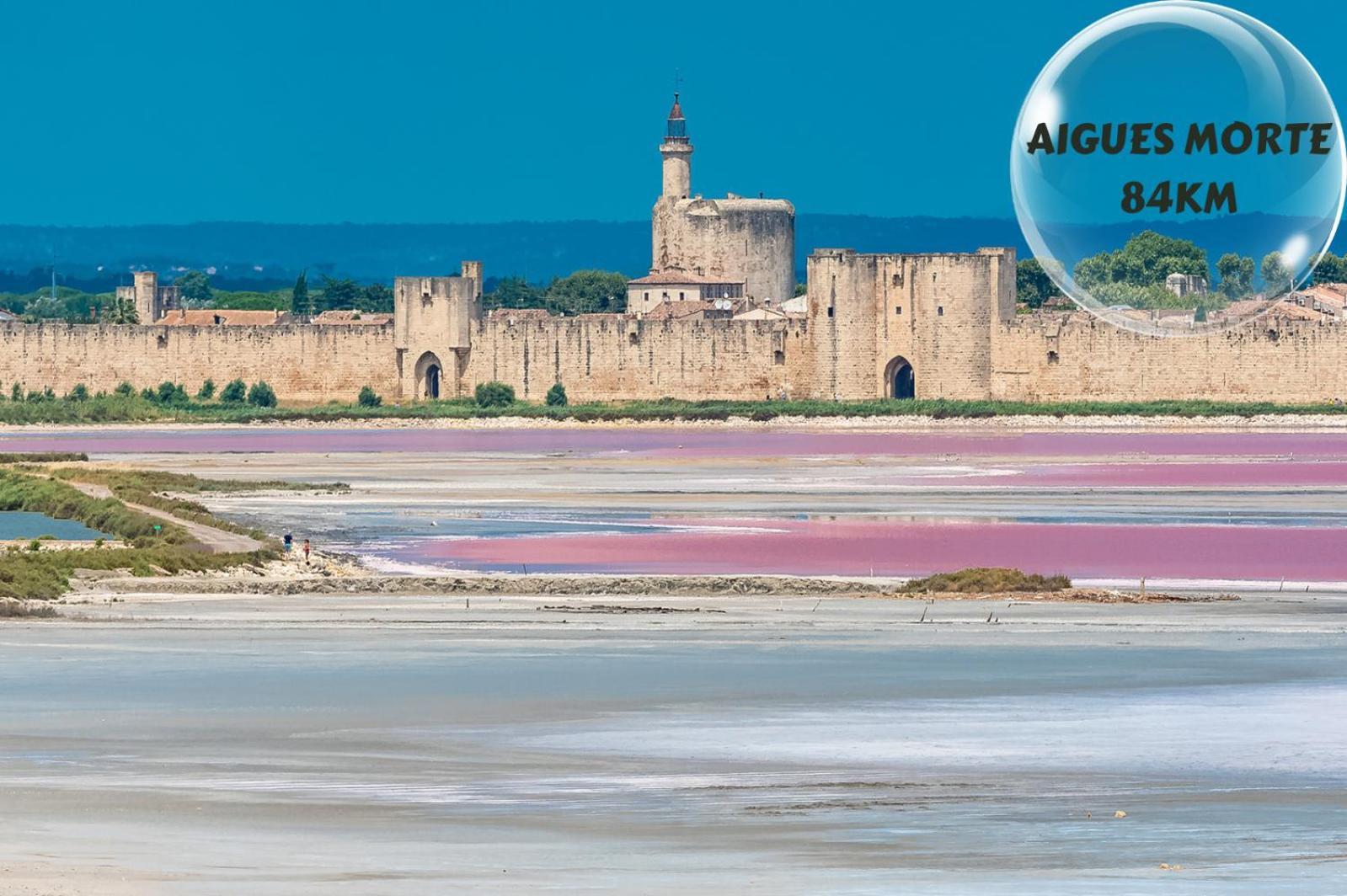 Апартаменты Le Cosy Du Gal, A 2 Pas Du Palais Des Papes Parking Gratuit Securise Авиньон Экстерьер фото