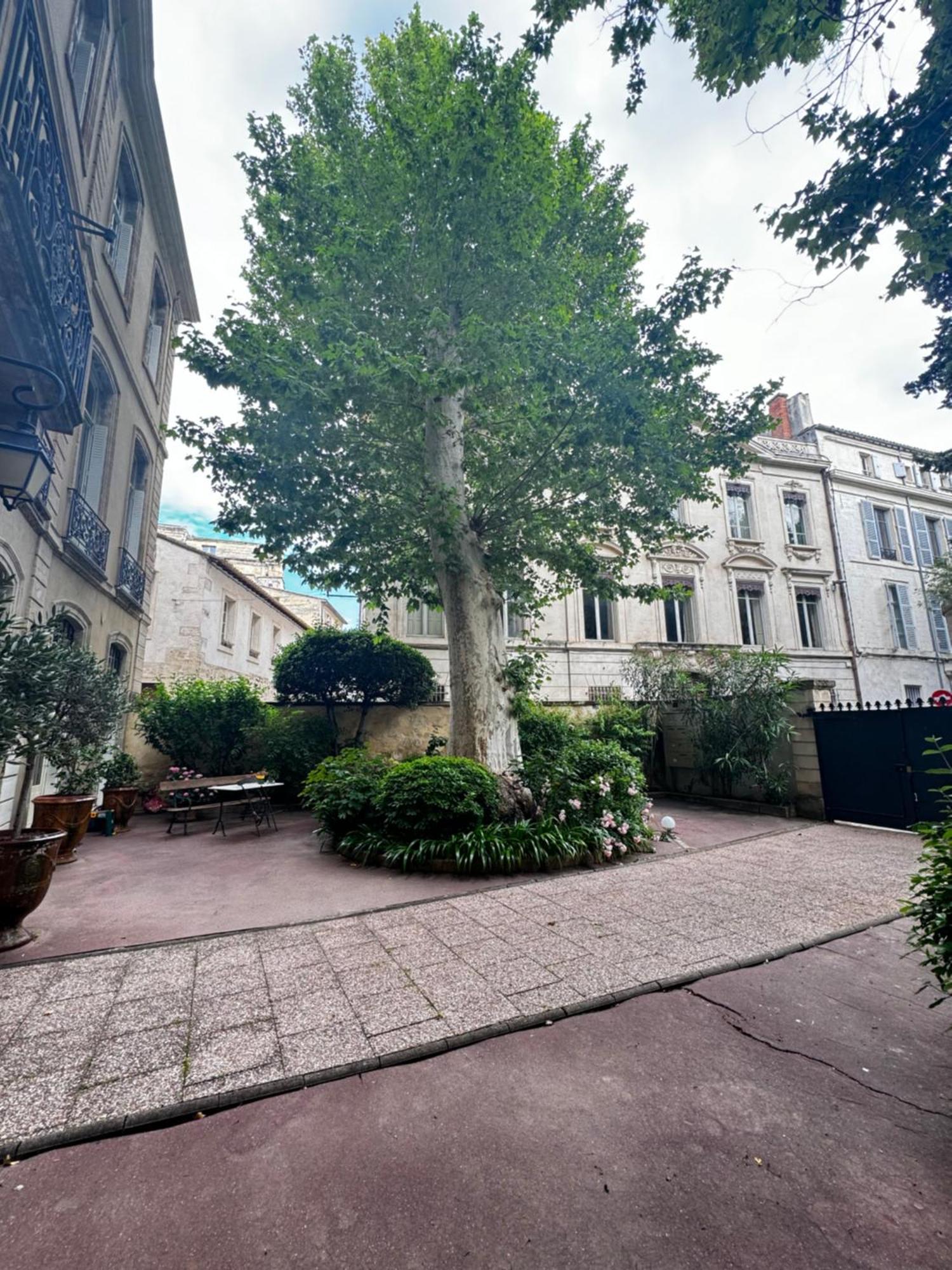 Апартаменты Le Cosy Du Gal, A 2 Pas Du Palais Des Papes Parking Gratuit Securise Авиньон Экстерьер фото